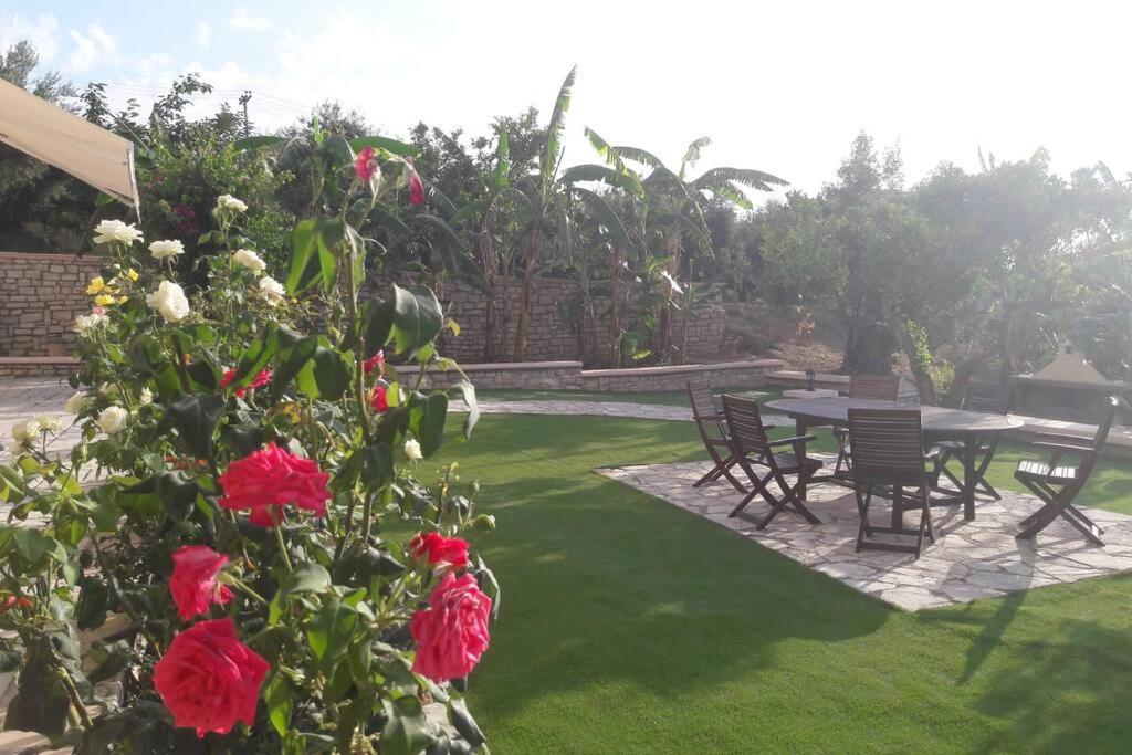 Estella Sorelle 1 Longa ภายนอก รูปภาพ